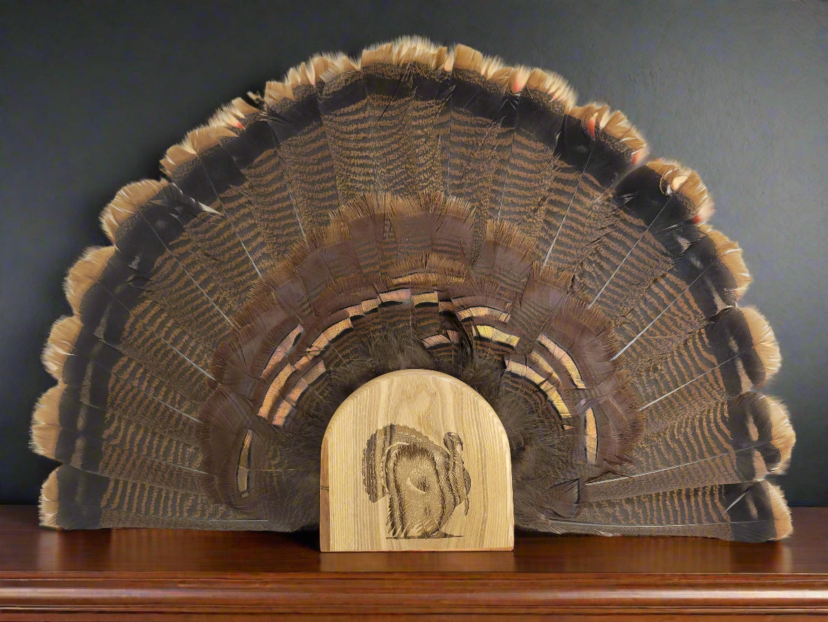 Turkey Fan Mount - Gobbler in Strut Art