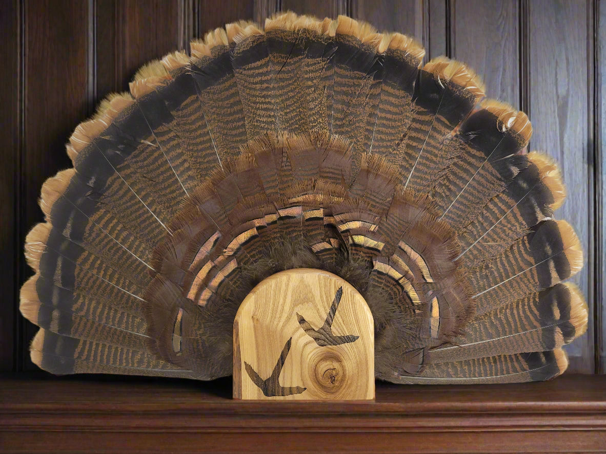 Turkey Fan Mount - Turkey Track Art