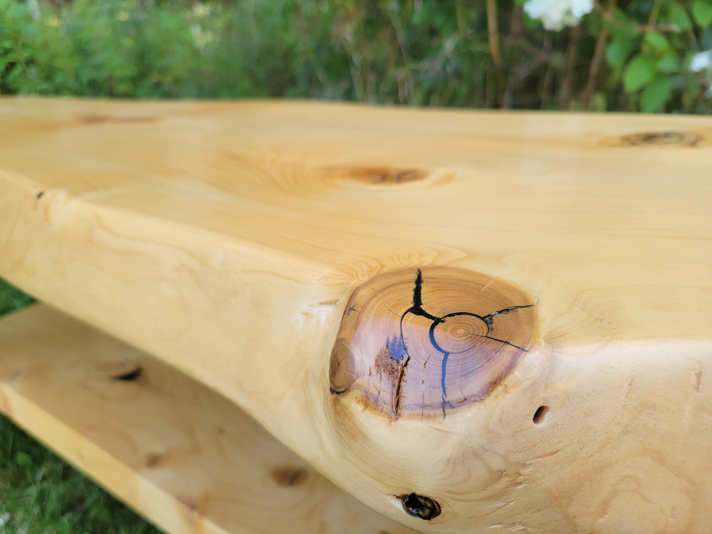 Live Edge Spruce Bench