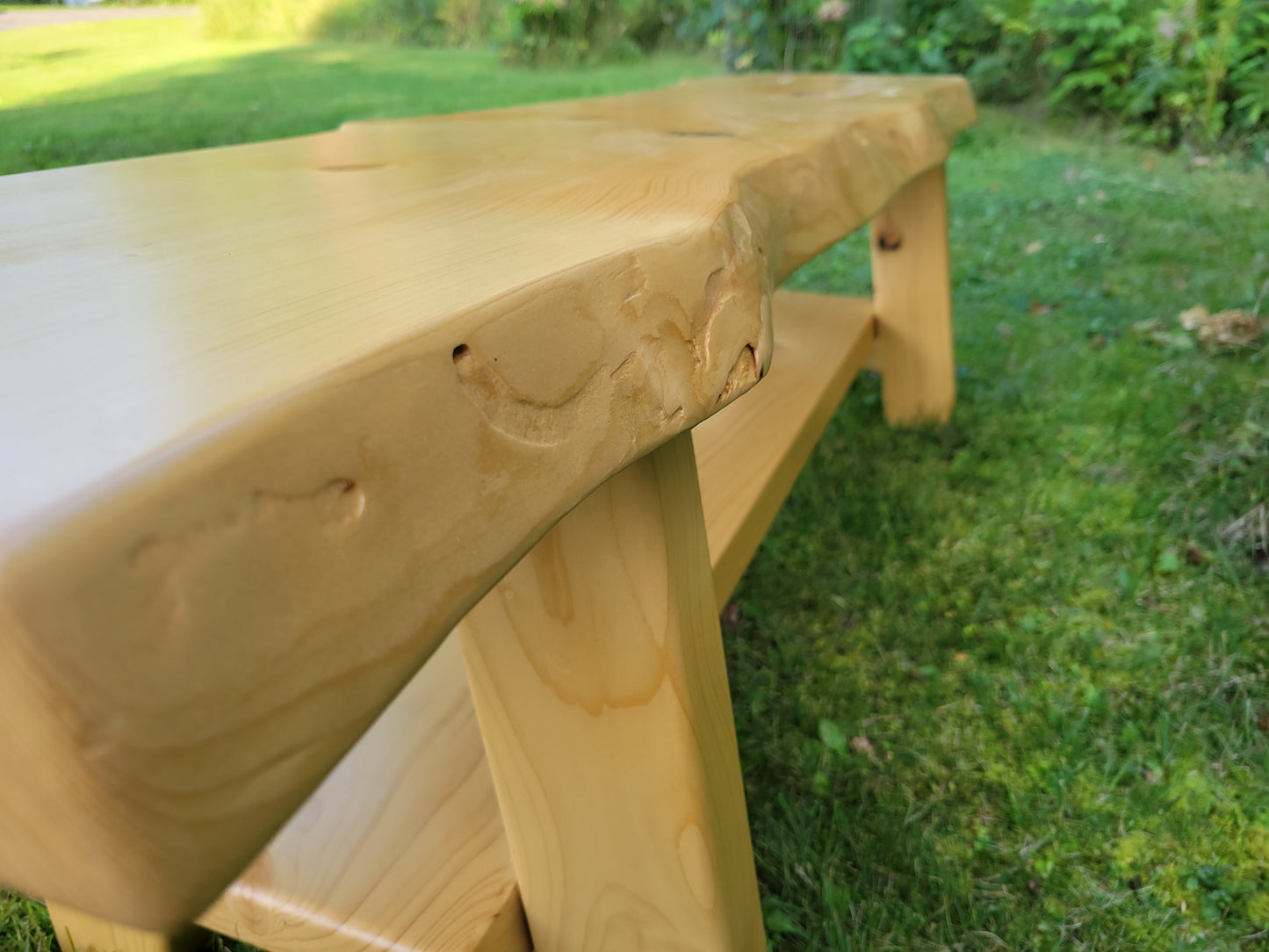 Live Edge Spruce Bench