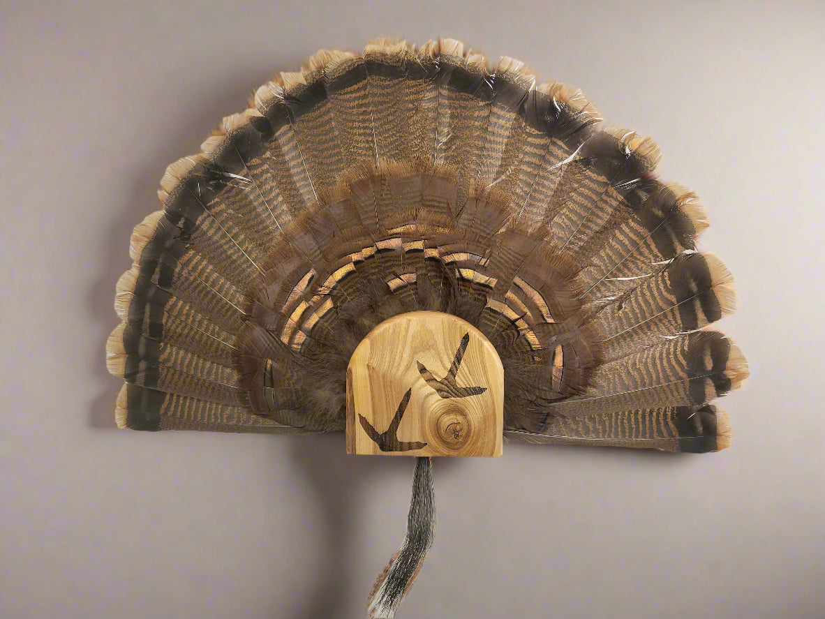 Turkey Fan Mount - Turkey Track Art