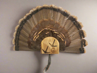 Turkey Fan Mount - Turkey Track Art