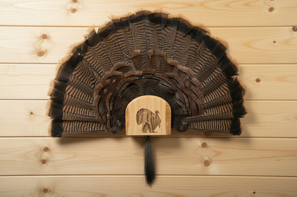 Turkey Fan Mount - Gobbler in Strut Art