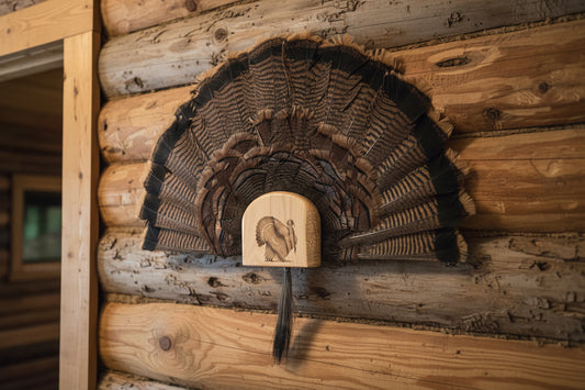 Turkey Fan Mount - Gobbler in Strut Art