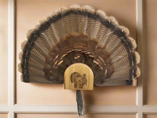 Turkey Fan Mount - Gobbler in Strut Art